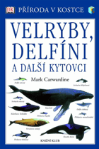 Velryby, delfíni a další kytovci