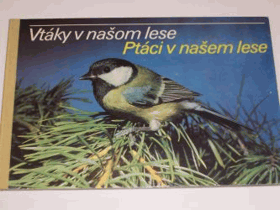 Vtáky v našom lese. Ptáci v našem lese