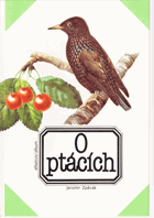 O ptácích