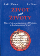 Život mezi životy - Vědecké zkoumání prostoru oddělujícího jednu inkarnaci od druhé