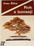 Rok s bonsají - bonsaje - bonsaj