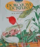 Pokojové rostliny