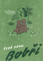 BOBŘI. Příhody malé indiánky a jejích bobříčků