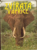 Zvířata v Africe