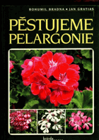 Pěstujeme pelargonie
