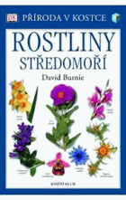 Rostliny Středomoří