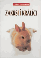 Obálka