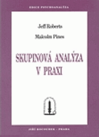 Skupinová analýza v praxi