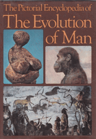 The evolution of man