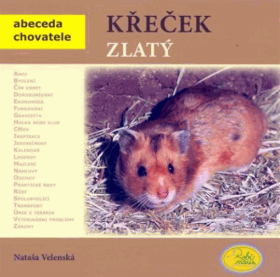 Obálka