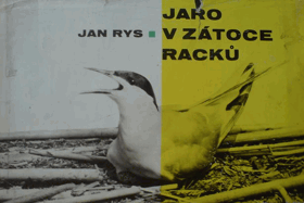 Jaro v zátoce racků BEZ OBÁLKY