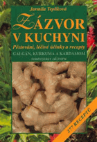 Zázvor v kuchyni - pěstování, léčivé účinky a recepty - galgán, kurkuma a kardamom - ...