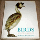 Birds of Heath and Marshland