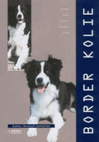 Border kolie - koupě, péče, krmení, výchova, chov