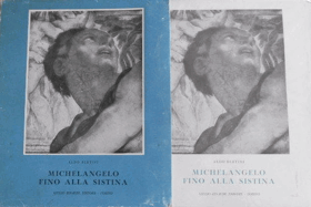 Michelangelo fino alla Sistina
