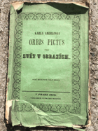 Orbis pictus, čili, Svět v obrazích - stupeň druhý, co pokračování prvního stupně, jejž ...