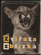 Zvířata zblízka - procházka pražskou zoologickou zahradou