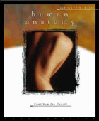 Human anatomy