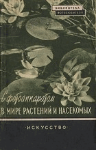 С фотоаппаратом в мире растений и насекомых