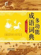 Multi-Functional Dictionary of Chinese Idioms ČÍNSKY!