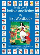Moje první knížka angličtiny - 500 obrázků a slovíček v angličtině a češtině