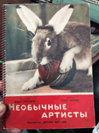 Необычные артисты