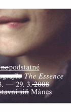 To nepodstatné. The essence - fotografie
