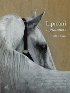 Lipicáni. Lipizzaners