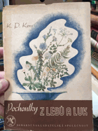 Pochoutky z lesů a luk