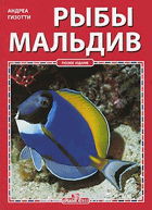 Рыбы Мальдив