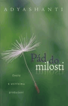 Pád do milosti. Cesta k vnitřnímu probuzení