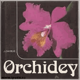 Orchidey