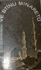 Ve stínu minaretů