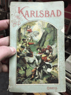 Karlsbad, wie es war und wie es ist. Ein Führer für Kurgäste