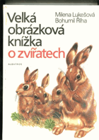 Obálka