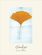 Ginkgo - the tree that time forgot.