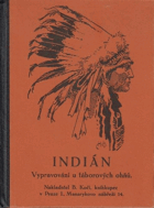 Indián - rysy Indiánova charakteru. E. Th. Setona vypravování u táborového ohně