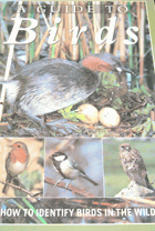 A Guide to Birds