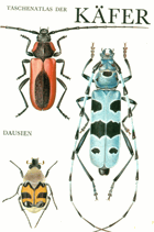 Taschenatlas der Käfer