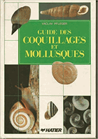 Guide des coquillages et mollusques