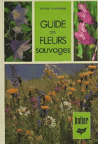 Guide des fleurs sauvages FOTO POUZE ILUSTRAČNÍ
