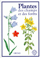 Plantes des champs et des forêts