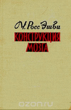 Конструкция мозга