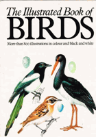 Illustrated Book of Birds