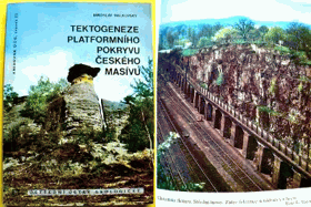 Tektogeneze platformního pokryvu Českého masívu