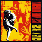 Use Your Illusion I.