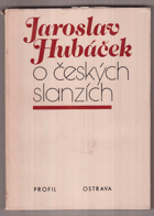 O českých slanzích