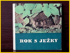 Rok s ježky - pro děti od 7 let