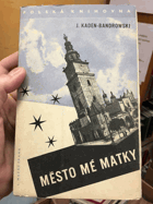 Město mé matky - román. Ve stínu zapomenuté olše.