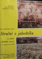 Stručně o jahodníku a jiném drobném ovoci.